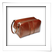 Pelletteria