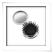Piccoli gadget