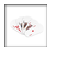 Carte da gioco 